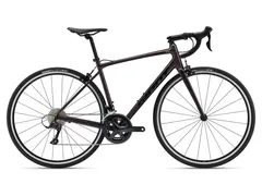Foto Giant Contend 1