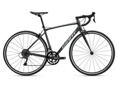 Foto Giant Contend 3