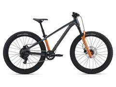 Foto Giant STP 24