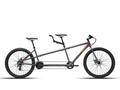 Foto Polygon Impression AX Disc