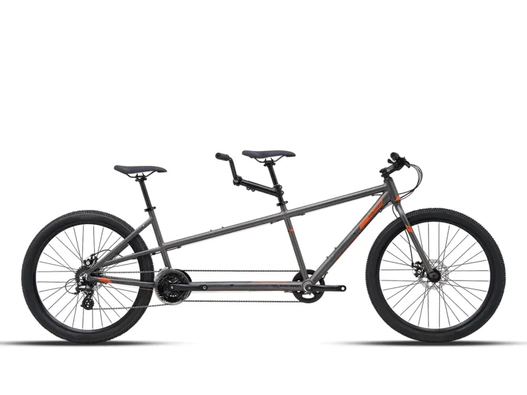 Foto Polygon Impression AX Disc