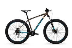 Foto Polygon Premier 4 2020