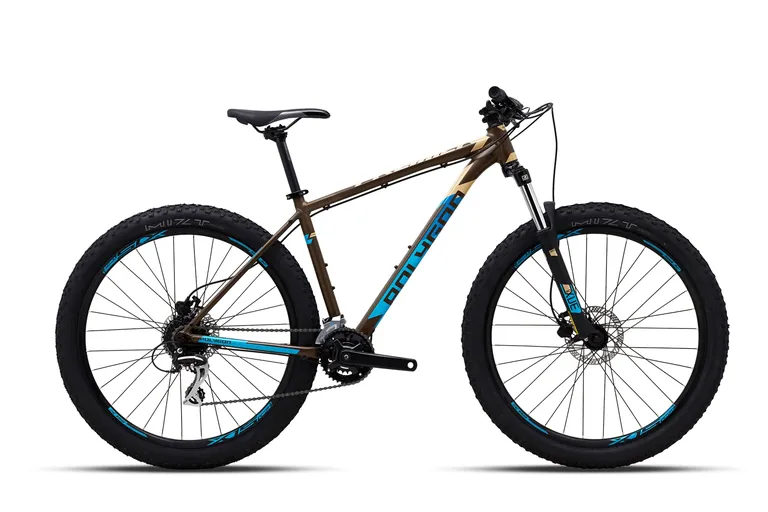 Foto Polygon Premier 4 2020