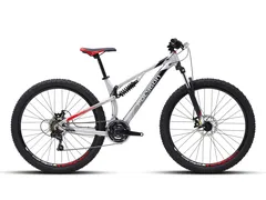 Foto Polygon Rayz One 2019