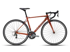 Foto Polygon Strattos S4 2024