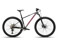 Foto Polygon Xtrada 6 2027